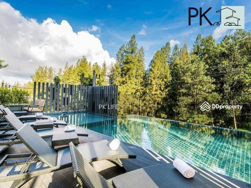 Hill Myna Condotel, Phuket, 1 M. 5 Srisunthorn Road, Choeng Thale, Thalang, Phuket, 1 Bedroom, 35 sqm, Condo For Rent, by PK LIFE Property, 10809929 - DDproperty.com