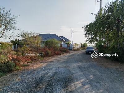ขาย - ที่ดิน ถมแล้ว 137วา คลองสอง เทียนทะเล, กรุงเทพ
