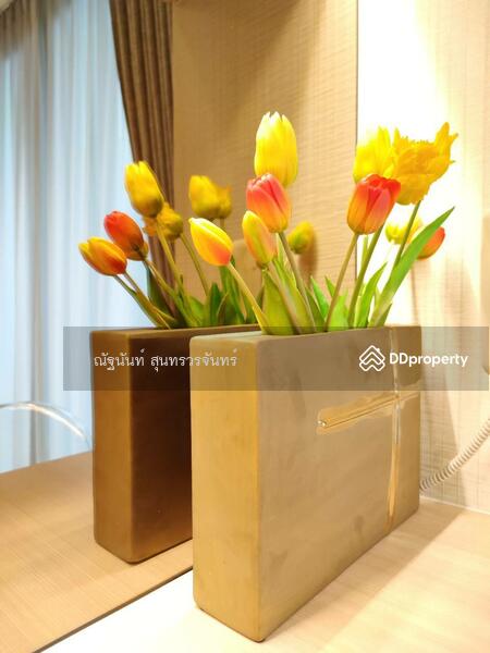 For Rent - The Riviera Wongamat, Chon Buri (Pattaya)