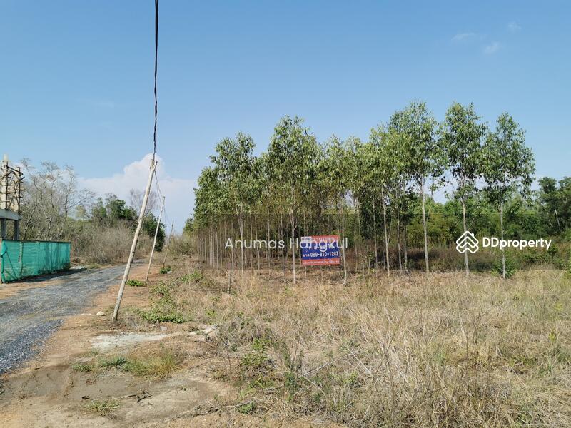 ขาย - ที่ดินในโครงการสนามกอล์ฟพื้นที่ เป็นพื้นที่ eec ปิดถนนสายหลัก ใกล้มอเตอร์เวย์, ฉะเชิงเทรา