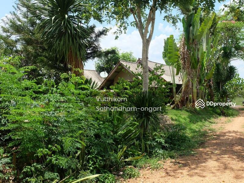Durian Garden Land For Sale Pa La-U Water Fall, phetchaburi, Pa Deng, Kaeng Krachan, Phetchaburi, , 19,200 sqm, Land For Sale, by Vutthikorn Sathandham-ongart, 10814287 - DDproperty.com
