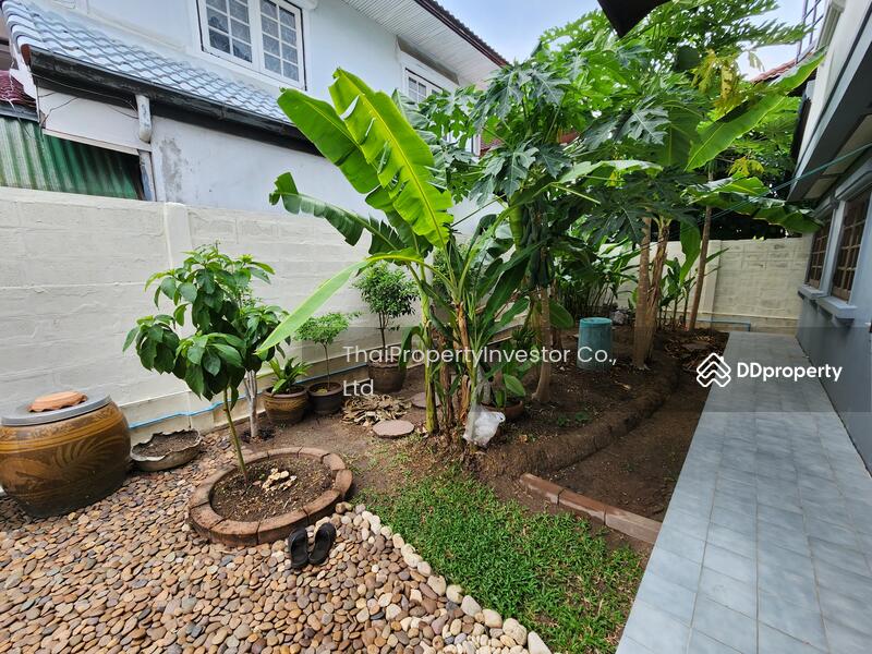 “ขายบ้านเดี่ยวนนทบุรี 90 ตร.วา เพียง 6.2 ล้าน | มณียา 3 ท่าอิฐ–ไทรม้า พื้นที่ใช้สอยเกือบ 300 ตร.ม.”, นนทบุรี, รัตนาธิเบศร์, ไทรม้า, เมืองนนทบุรี, นนทบุรี, 300 ตร.ม., บ้านเดี่ยว ขาย, โดย คุณเอ็มมี่, 10814293 - DDproperty.com
