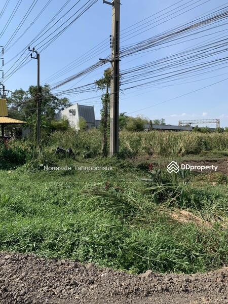 ที่ดิน ติดถนนสุวินทวงศ์ มีนบุรีใกล้สถานีรถไฟฟ้า สายสีส้มและสายสีชมพู, กรุงเทพ, สุวินทวงศ์, แสนแสบ, มีนบุรี, กรุงเทพ, 4,544 ตร.ม., ที่ดิน ขาย, โดย อาทิตยา สุขสุรภัส, 10814871 - DDproperty.com