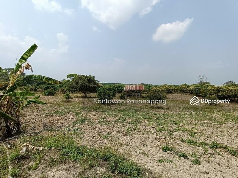 ขาย - สวนลำไย มีสระน้ำกลางที่ดิน เหมาะสำหรับบ้ทำการเกษตร, ลำพูน