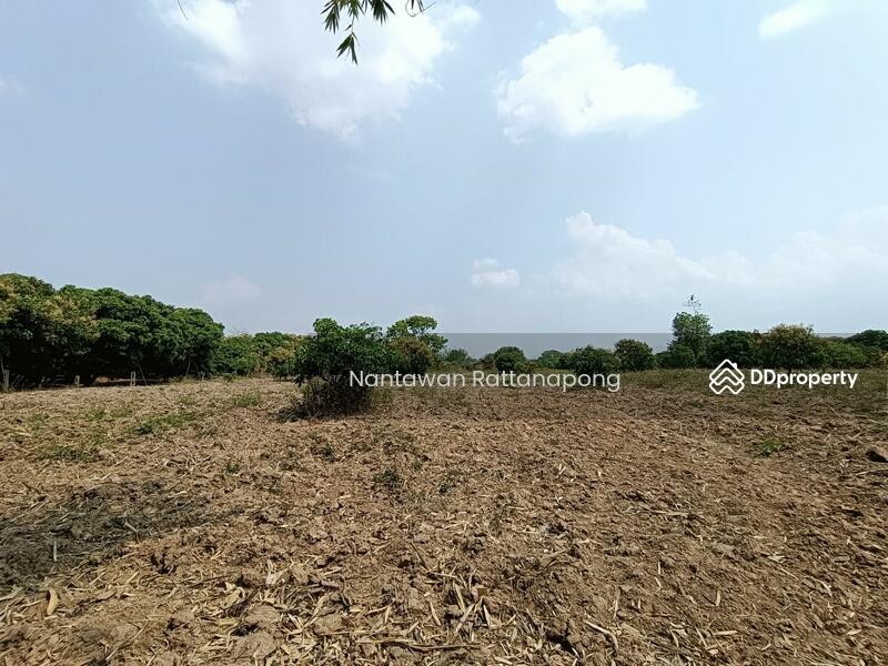 ขาย - สวนลำไย มีสระน้ำกลางที่ดิน เหมาะสำหรับบ้ทำการเกษตร, ลำพูน