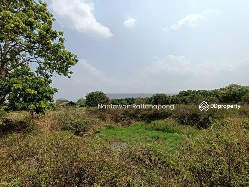 ขาย - สวนลำไย มีสระน้ำกลางที่ดิน เหมาะสำหรับบ้ทำการเกษตร, ลำพูน