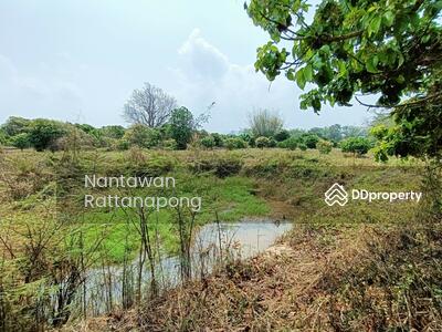 ขาย - สวนลำไย มีสระน้ำกลางที่ดิน เหมาะสำหรับบ้ทำการเกษตร, ลำพูน