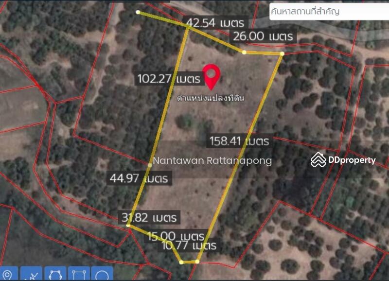 Longan plantation for sale in Li, Lamphun, Lamphun, Dong Dam, Li, Lamphun, , 8,880 sqm, Land For Sale, by Nantawan Rattanapong, 10816554 - DDproperty.com