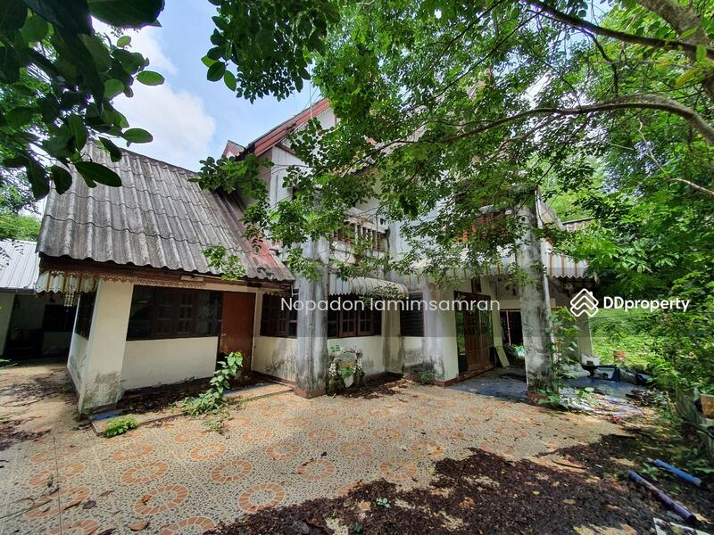 ขาย - 46000, กาฬสินธุ์