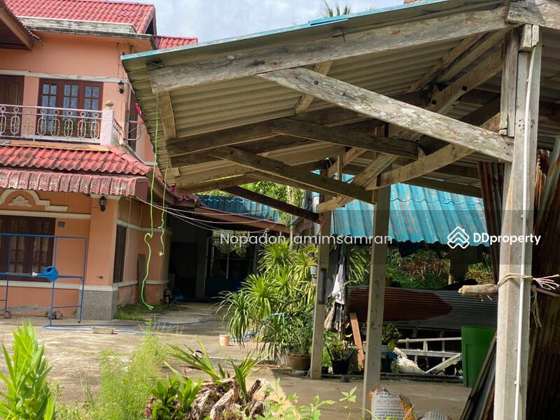 For Sale - Single house in Klong-Thom, Krabi, 5-1-57 Rai., Krabi