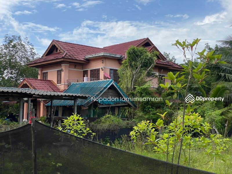 For Sale - Single house in Klong-Thom, Krabi, 5-1-57 Rai., Krabi