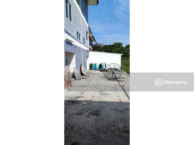 For Sale - Shophouse Ton Pao San Kamphaeng Chiang Mai, Chiang Mai