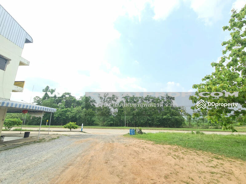 ขาย - ที่ดินติดถนน ถ.เฉลิมพระเกียรติ ร.9 อ.หนองใหญ่ จ.ชลบุรี, ชลบุรี