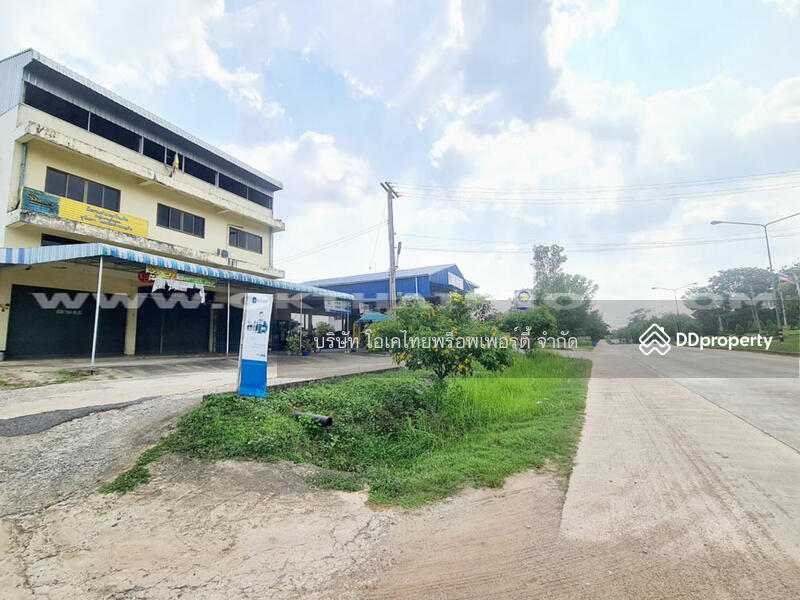 ขาย - ที่ดินติดถนน ถ.เฉลิมพระเกียรติ ร.9 อ.หนองใหญ่ จ.ชลบุรี, ชลบุรี