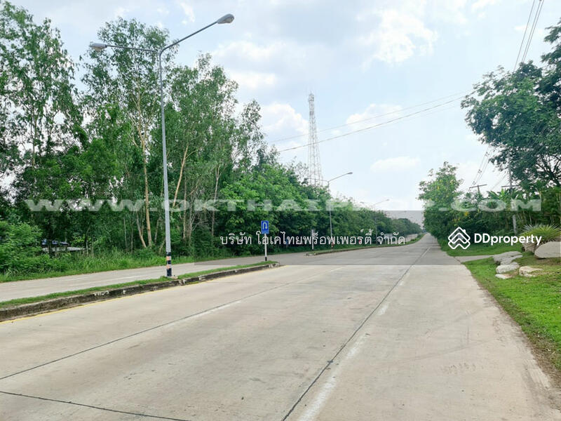 ขาย - ที่ดินติดถนน ถ.เฉลิมพระเกียรติ ร.9 อ.หนองใหญ่ จ.ชลบุรี, ชลบุรี