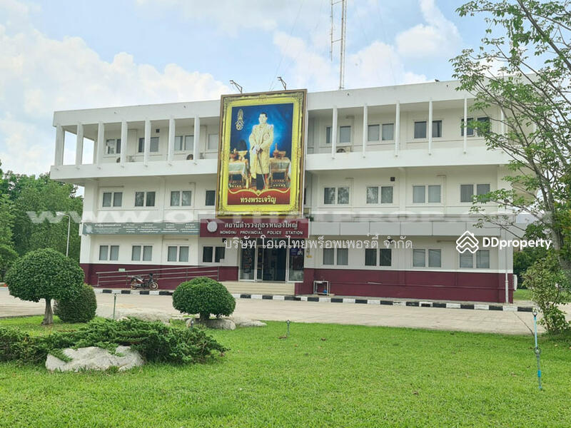 ขาย - ที่ดินติดถนน ถ.เฉลิมพระเกียรติ ร.9 อ.หนองใหญ่ จ.ชลบุรี, ชลบุรี