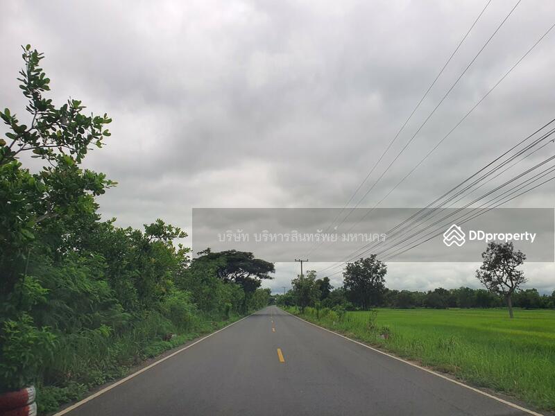 ขาย - 34150, อุบลราชธานี