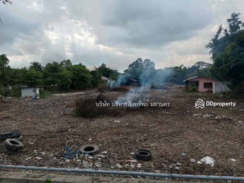 For Sale - Land 2-3-22 Rai in Khuengnai, Ubonratchathani., Ubon Ratchathani