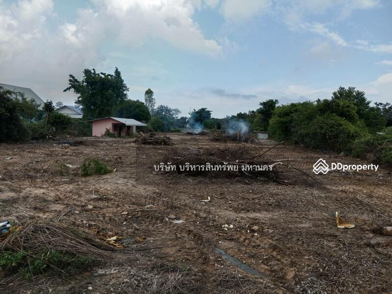 For Sale - Land 2-3-22 Rai in Khuengnai, Ubonratchathani., Ubon Ratchathani