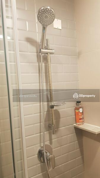 The Tree Charan 30, Bangkok, 256 46 Charan Sanit Wong Rd, Ban Chang Lo, Bangkok Noi, Bangkok, 1 Bedroom, 27 sqm, Condo For Rent, by Super B Estate Co., Ltd, 10818609 - DDproperty.com