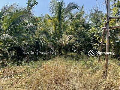 ขาย - ขายที่ดินเปล่า เอกมัย 22 เนื้อที่ 355 ตารางวา เหมาะสร้างที่พักอาศัย, กรุงเทพ