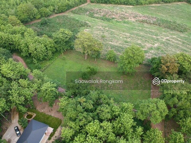 For Sale - 55000, Nan