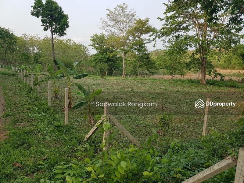For Sale - 55000, Nan