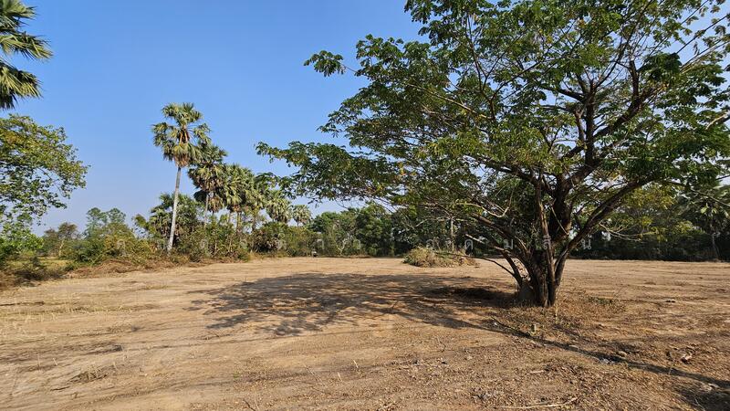 ขาย - ที่ดินสวย หน้ากว้าง ถนนโคกขวาง-ระเบาะไผ่ อ.ศรีมหาโพธิ์ จ.ปราจีนบุรี, ปราจีนบุรี