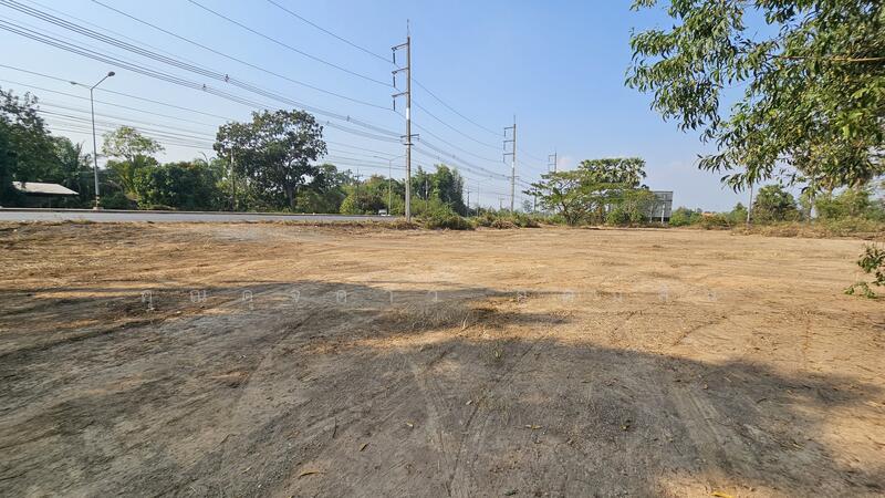 ขาย - ที่ดินสวย หน้ากว้าง ถนนโคกขวาง-ระเบาะไผ่ อ.ศรีมหาโพธิ์ จ.ปราจีนบุรี, ปราจีนบุรี