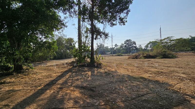 ขาย - ที่ดินสวย หน้ากว้าง ถนนโคกขวาง-ระเบาะไผ่ อ.ศรีมหาโพธิ์ จ.ปราจีนบุรี, ปราจีนบุรี