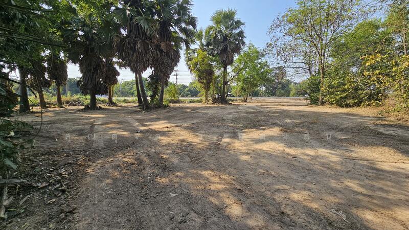 ขาย - ที่ดินสวย หน้ากว้าง ถนนโคกขวาง-ระเบาะไผ่ อ.ศรีมหาโพธิ์ จ.ปราจีนบุรี, ปราจีนบุรี