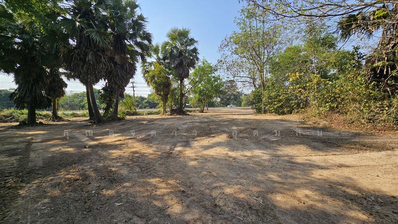 ขาย - ที่ดินสวย หน้ากว้าง ถนนโคกขวาง-ระเบาะไผ่ อ.ศรีมหาโพธิ์ จ.ปราจีนบุรี, ปราจีนบุรี