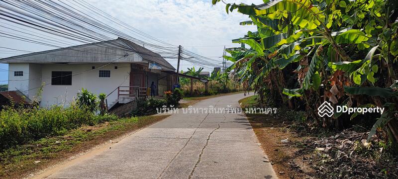 For Sale - Warehouse Tha Sai (San Sai) Muang Chiang Rai Chiang Rai, Chiang Rai