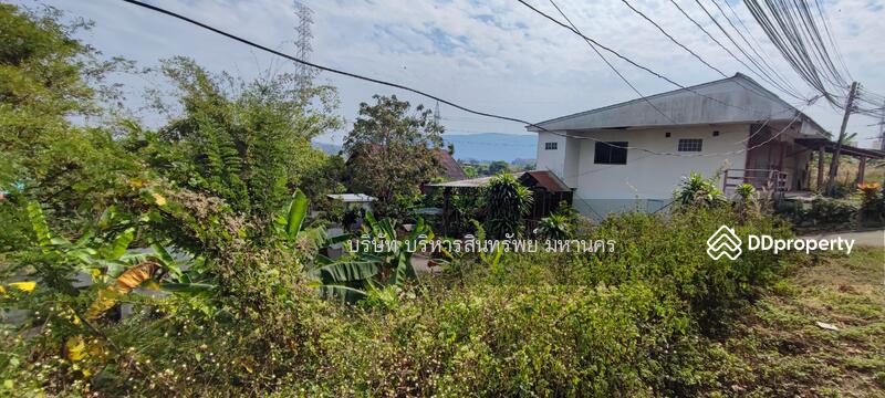 For Sale - Warehouse Tha Sai (San Sai) Muang Chiang Rai Chiang Rai, Chiang Rai