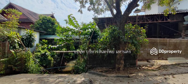 For Sale - Warehouse Tha Sai (San Sai) Muang Chiang Rai Chiang Rai, Chiang Rai