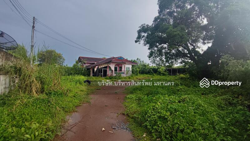 For Sale - Single House Lan Krabue Kamphaeng Phet, Kamphaeng Phet
