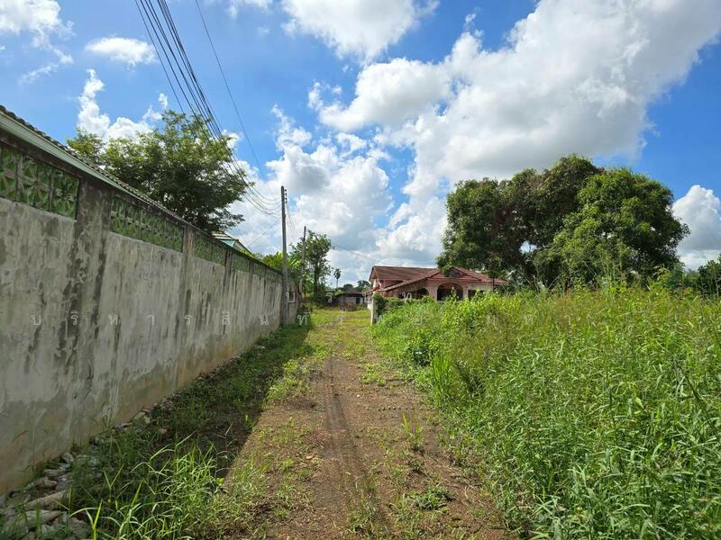 Single House Lan Krabue Kamphaeng Phet, Kamphaeng Phet, 234 ถนนสายพรานกระต่าย-บางระกำ, Lan Krabu, Lan Krabu, Kamphaeng Phet, 3 Bedrooms, 339 sqm, Single Detached House For Sale, by Nopadon Iamimsamran, 10826242 - DDproperty.com