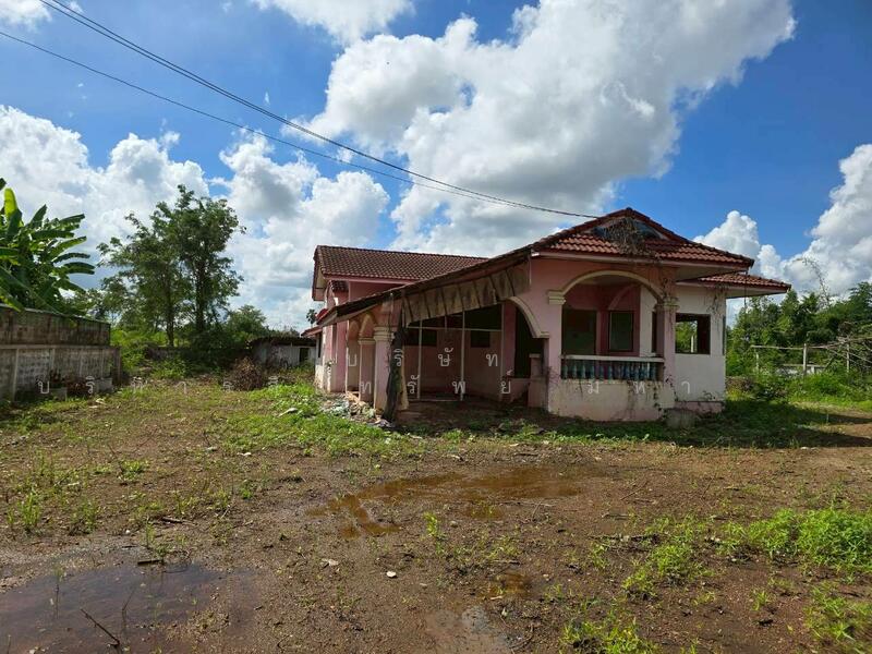 ขาย - 62170 บ้านเดี่ยวชั้นเดียว 1-1-21 ไร่ ลานกระบือ กำแพงเพชร ต่อรองได้(P3104924), กำแพงเพชร