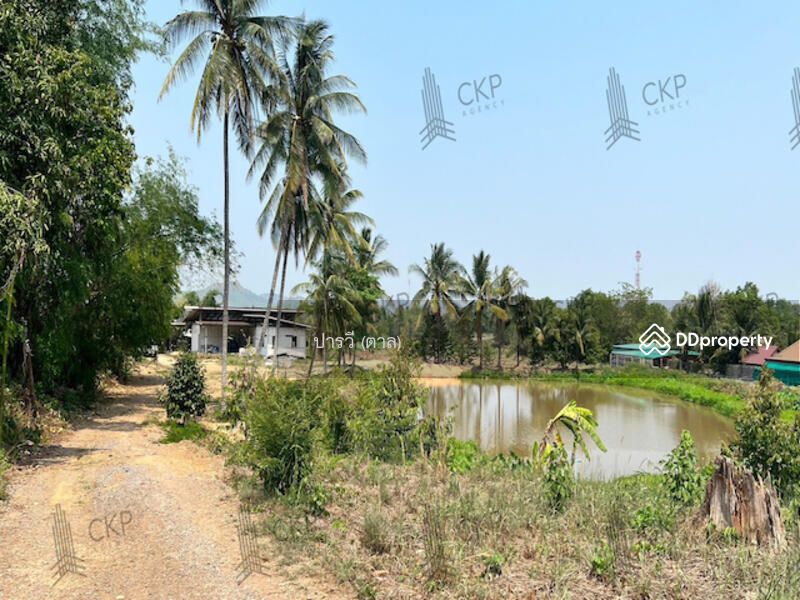 Land with buildings for sale, That Subdistrict, Chiang Khan District
