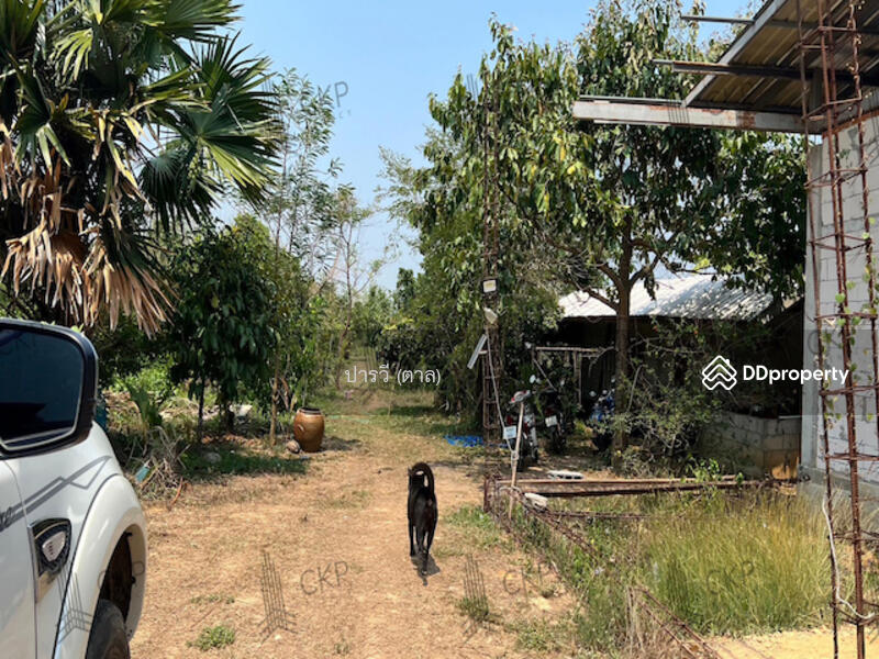 Land with buildings for sale, That Subdistrict, Chiang Khan District