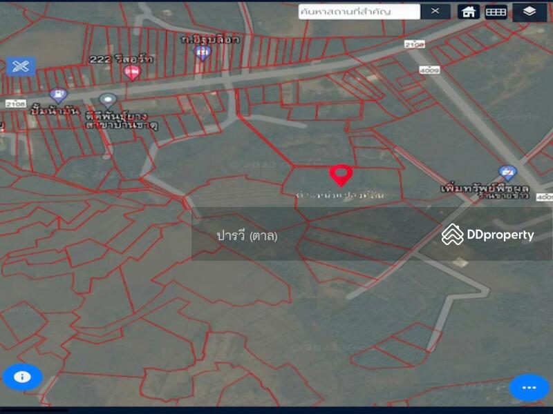 Land with buildings for sale, That Subdistrict, Chiang Khan District