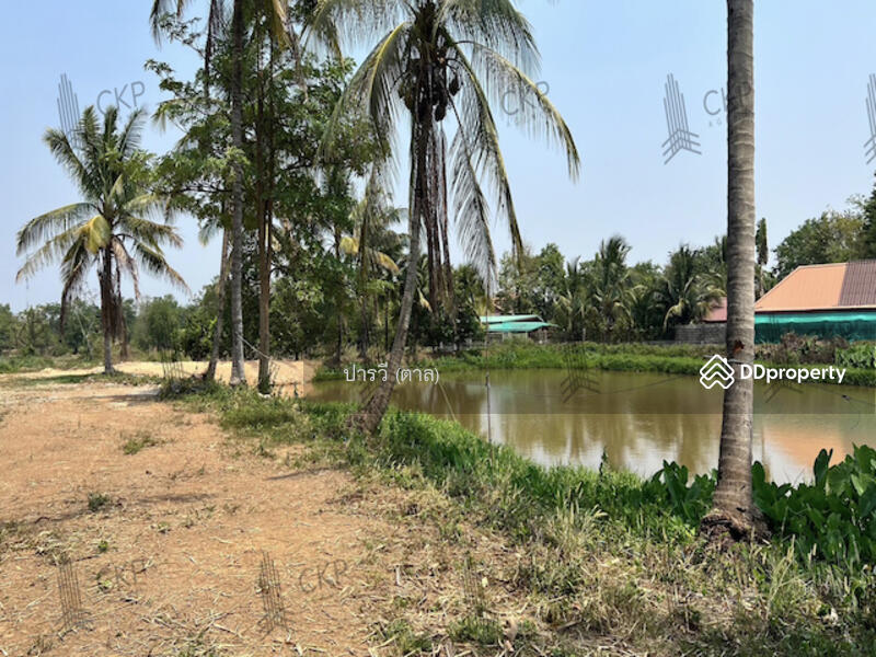 Land with buildings for sale, That Subdistrict, Chiang Khan District