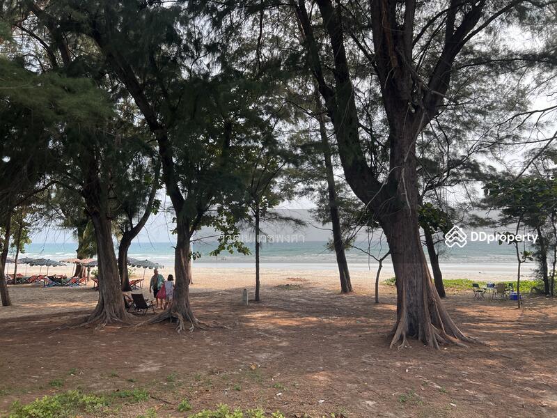 ขายที่ดินแปลงสวย ติดหาดแม่รำพึง จ.ระยอง หน้ากว้าง 88 ม./ 25-0-49.7 ไร่, ระยอง, เพ, เมืองระยอง, ระยอง, 40,199 ตร.ม., ที่ดิน ขาย, โดย วิวัฒน์ เวชพงศา, 10828222 - DDproperty.com