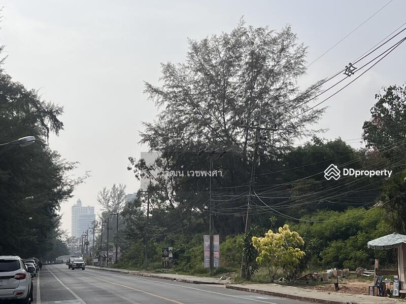 ขายที่ดินแปลงสวย ติดหาดแม่รำพึง จ.ระยอง หน้ากว้าง 88 ม./ 25-0-49.7 ไร่, ระยอง, เพ, เมืองระยอง, ระยอง, 40,199 ตร.ม., ที่ดิน ขาย, โดย วิวัฒน์ เวชพงศา, 10828222 - DDproperty.com