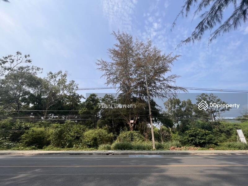 ขายที่ดินแปลงสวย ติดหาดแม่รำพึง จ.ระยอง หน้ากว้าง 88 ม./ 25-0-49.7 ไร่, ระยอง, เพ, เมืองระยอง, ระยอง, 40,199 ตร.ม., ที่ดิน ขาย, โดย วิวัฒน์ เวชพงศา, 10828222 - DDproperty.com