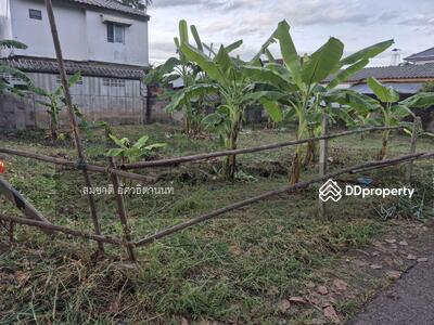 ขาย - เชียงใหม่, เชียงใหม่