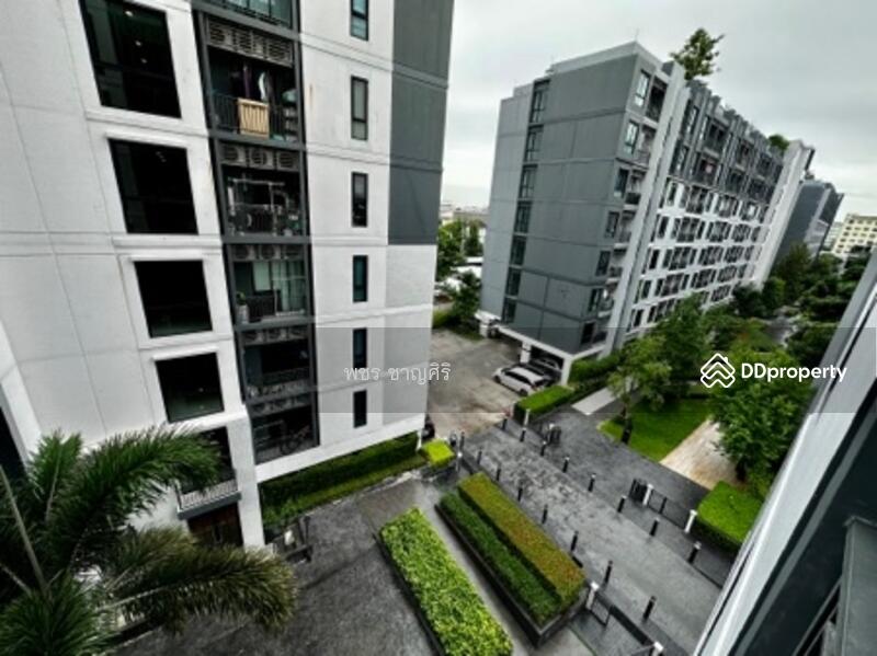 Notting Hill Sukhumvit 105, Bangkok, 105 Sukhumvit, Bang Na, Bang Na, Bangkok, 2 Bedrooms, 41 sqm, Condo For Rent, by พชร ชาญศิริ, 10832808 - DDproperty.com