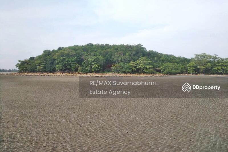 ขาย ที่ดิน 72 ไร่ 361.30 ตารางวา เกาะแหลมสน จ.สตูล, สตูล, แหลมสน, ละงู, สตูล, 116,645 ตร.ม., ที่ดิน ขาย, โดย Thanitcha Kangkasuwanno, 10832908 - DDproperty.com