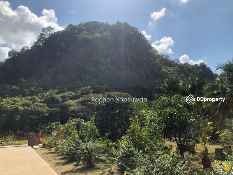 ขาย - บ้านพัทลุง, พัทลุง