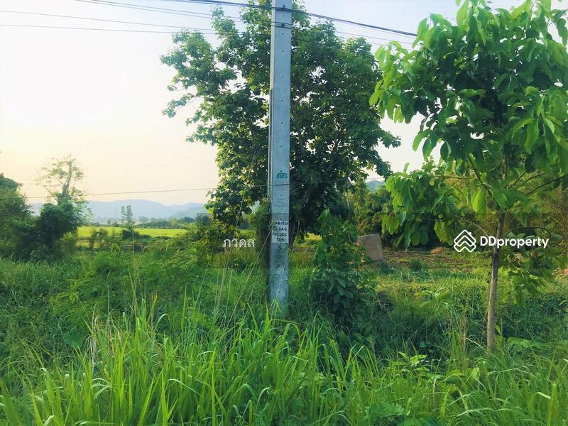 For Sale - 18110, Saraburi